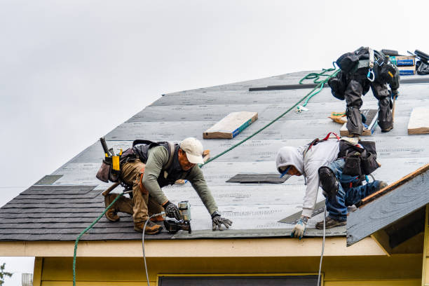 Professional Gutter Installation technician working in Bellvue, CO